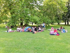 Labrisz-piknik