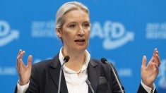 A Labrisz nyílt levele Alice Weidelnek, a német AfD párt elnökének