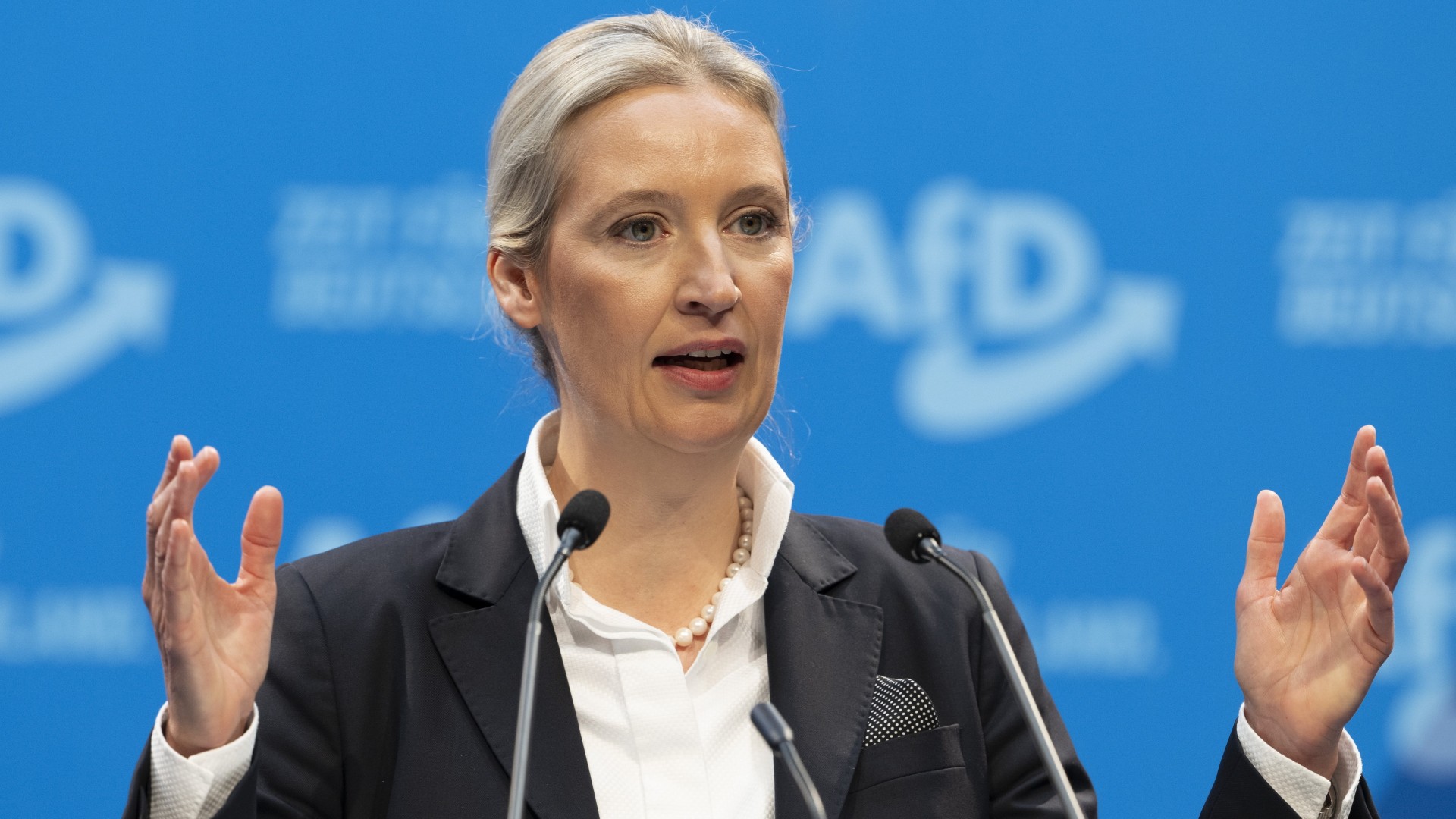 A Labrisz nyílt levele Alice Weidelnek, a német AfD párt elnökének